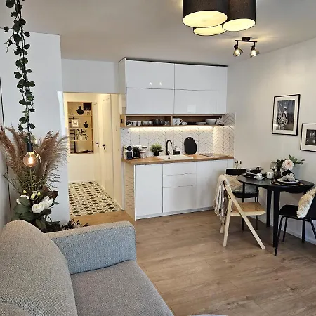 Design In Old Town-free Parking-balcony Διαμέρισμα Μπρατισλάβα