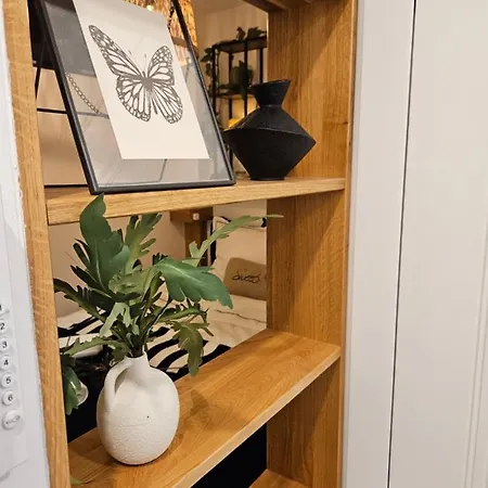 Design In Old Town-free Parking-balcony * براتسيلافا